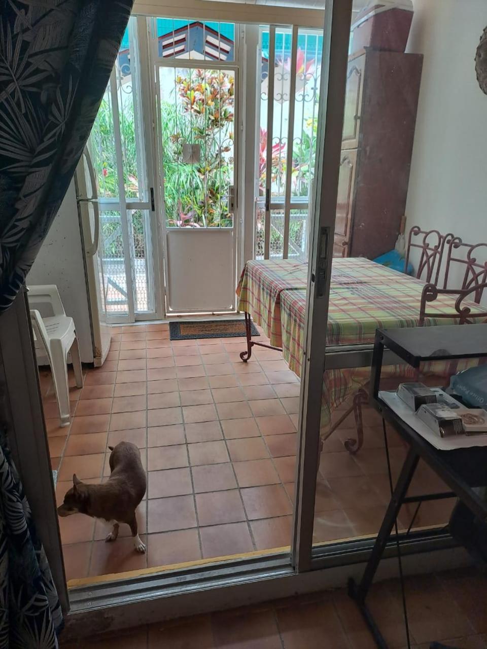 Appartement T2 Meuble Tout Confort Le Gosier  Eksteriør billede